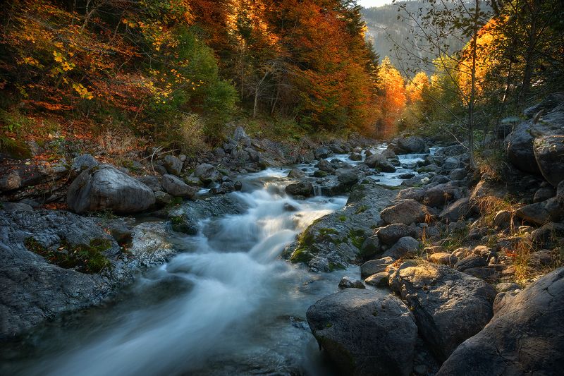 switzerland. autumn фото превью