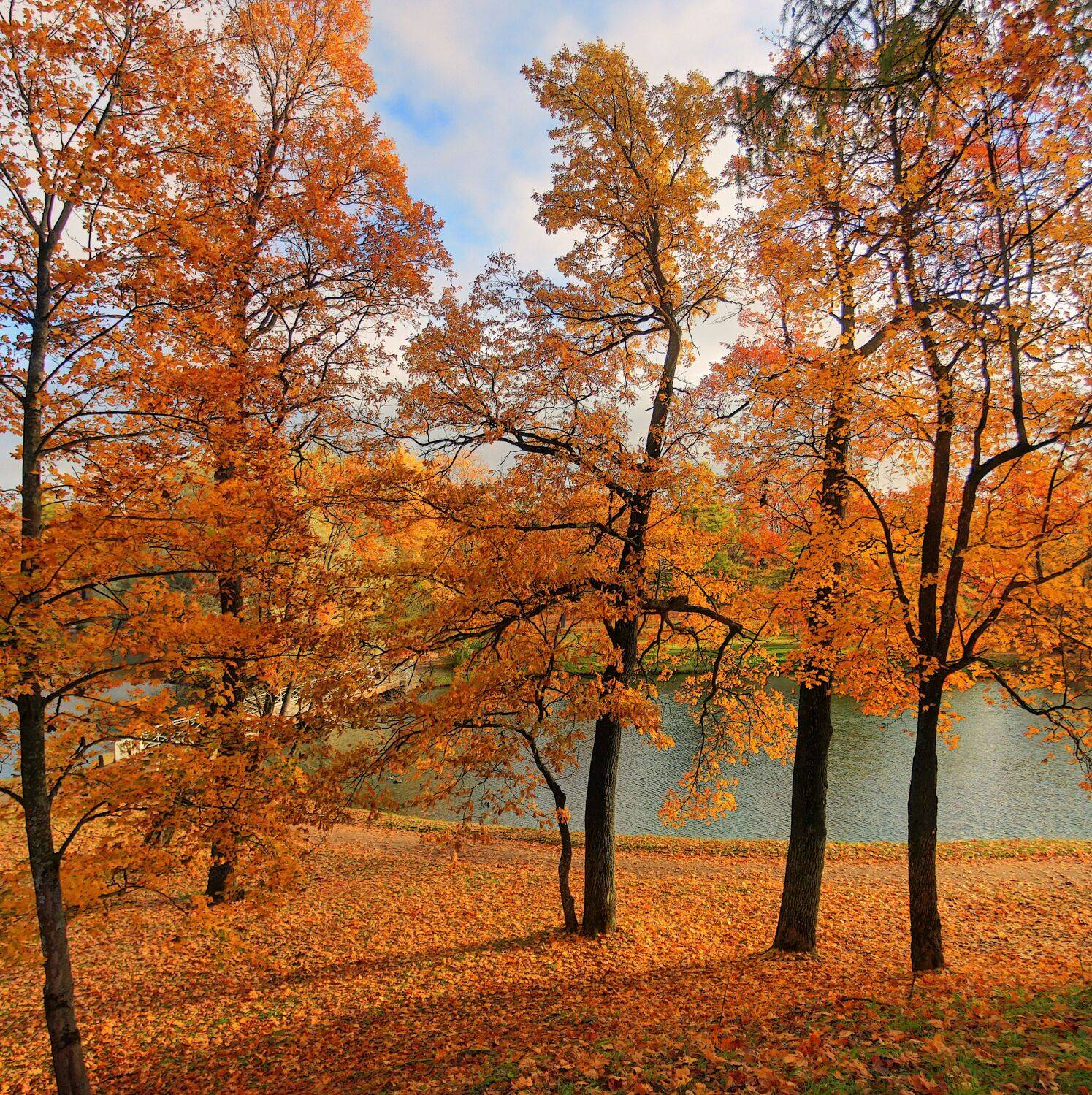 , Сергей Григорьев