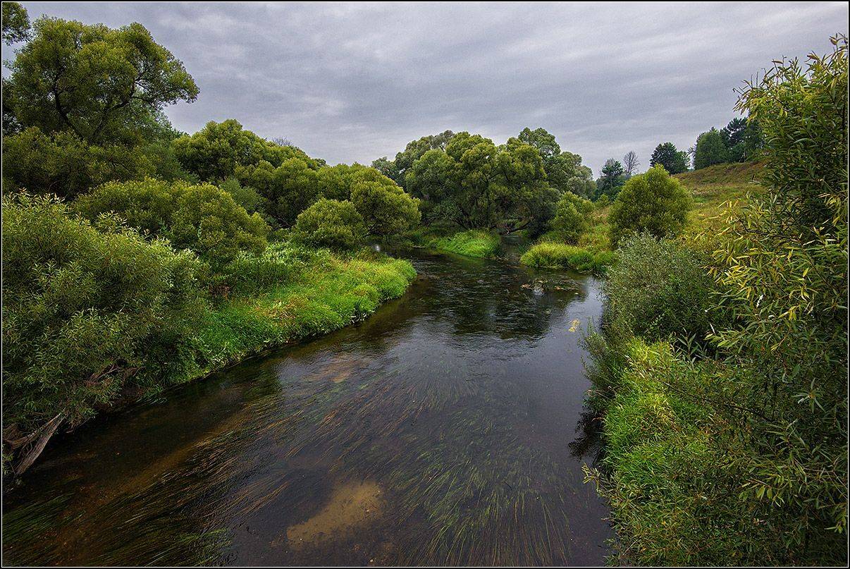 калужская обл. р. протва, лето, АНАТОЛИЙ ДОВЫДЕНКО