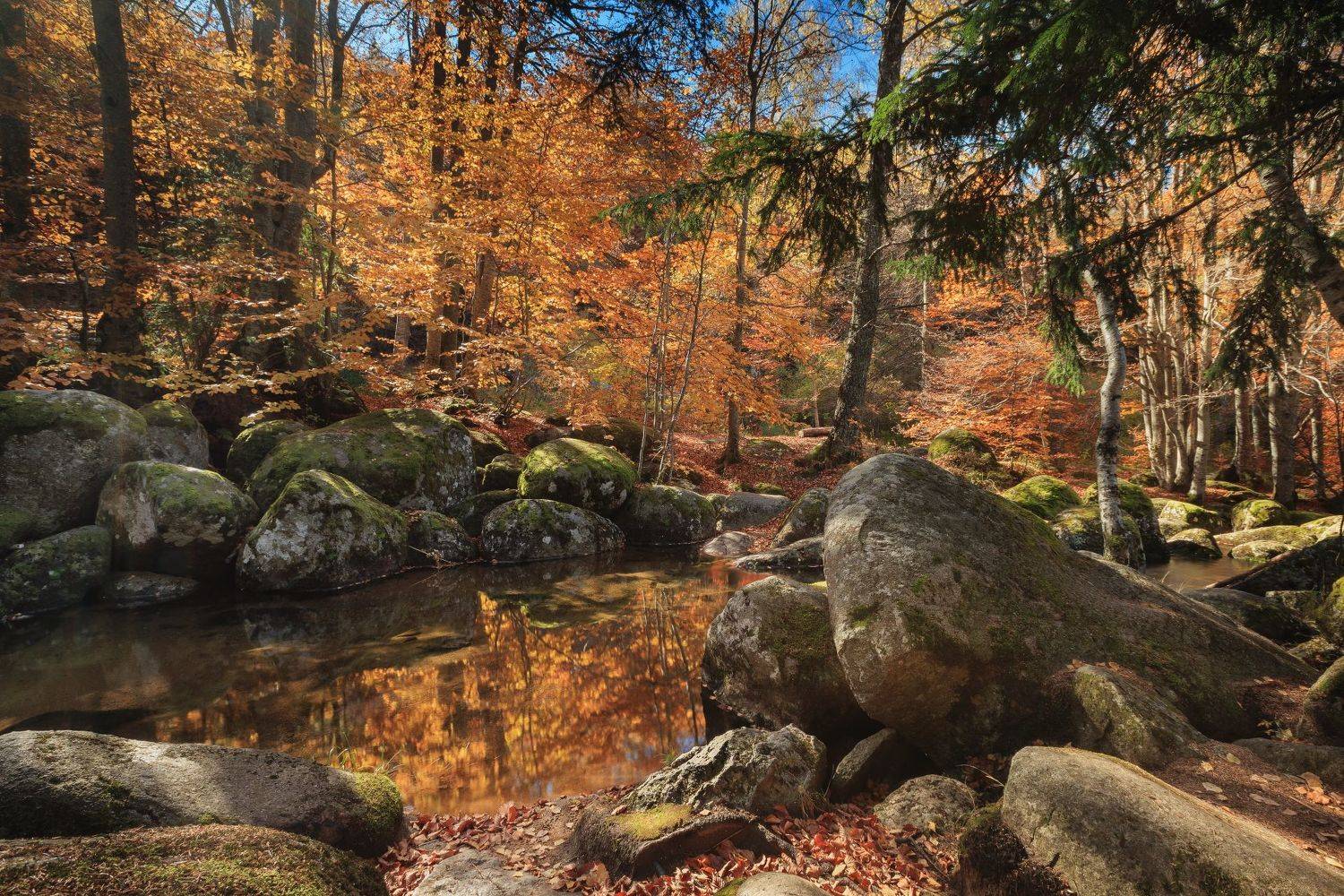 , Александър Сандев