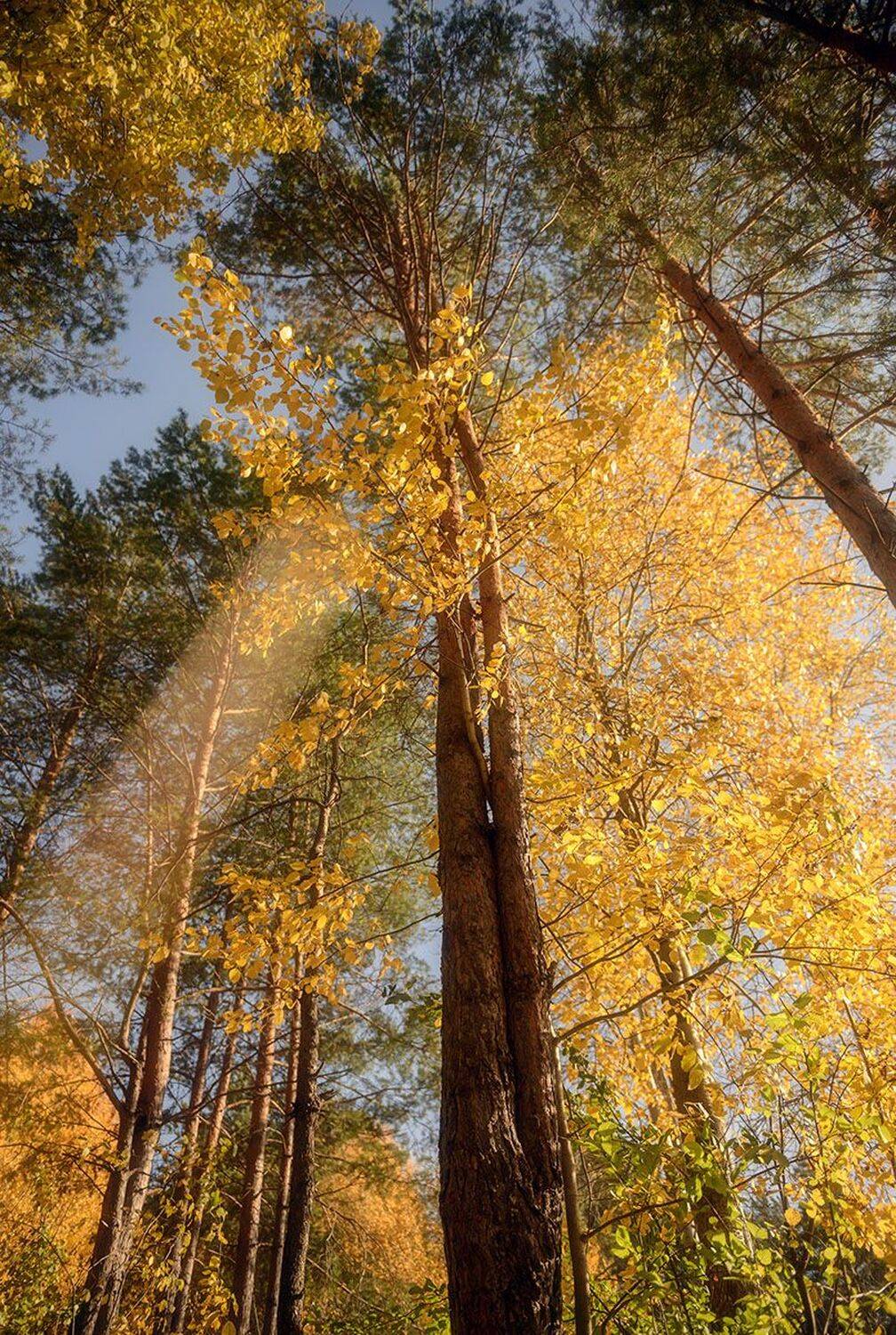 октябрь, Наиля Гарифуллина