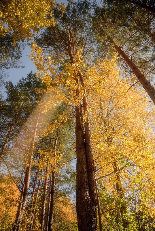 октябрь Луч  солнца золотого фото превью