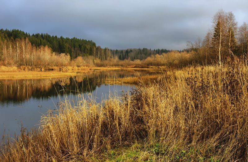 Вянут осенние травы фото превью