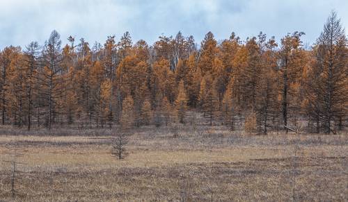 осеннее путешествие в октябре этого года по Камчатским дорогам в Мильковском и Быстринском районах