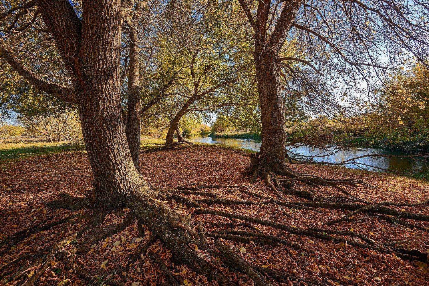 осень октябрь свияга, Владислав Никишин