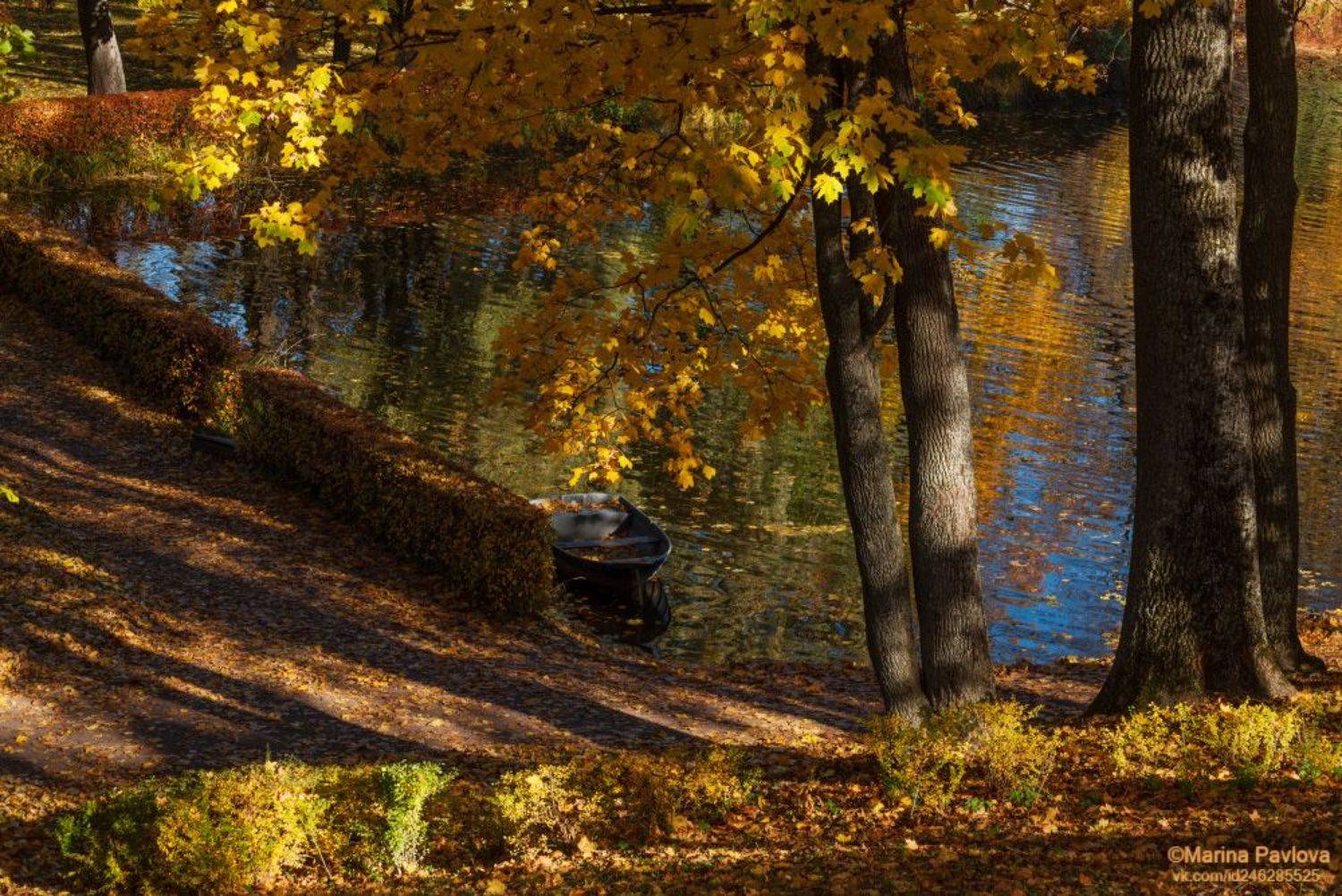 осень, осенний пейзаж, пейзаж, золотая осень, песочный пруд, город петергоф, государственный музей-заповедник петергоф, пригороды санкт-петербурга, nikon, Павлова Марина