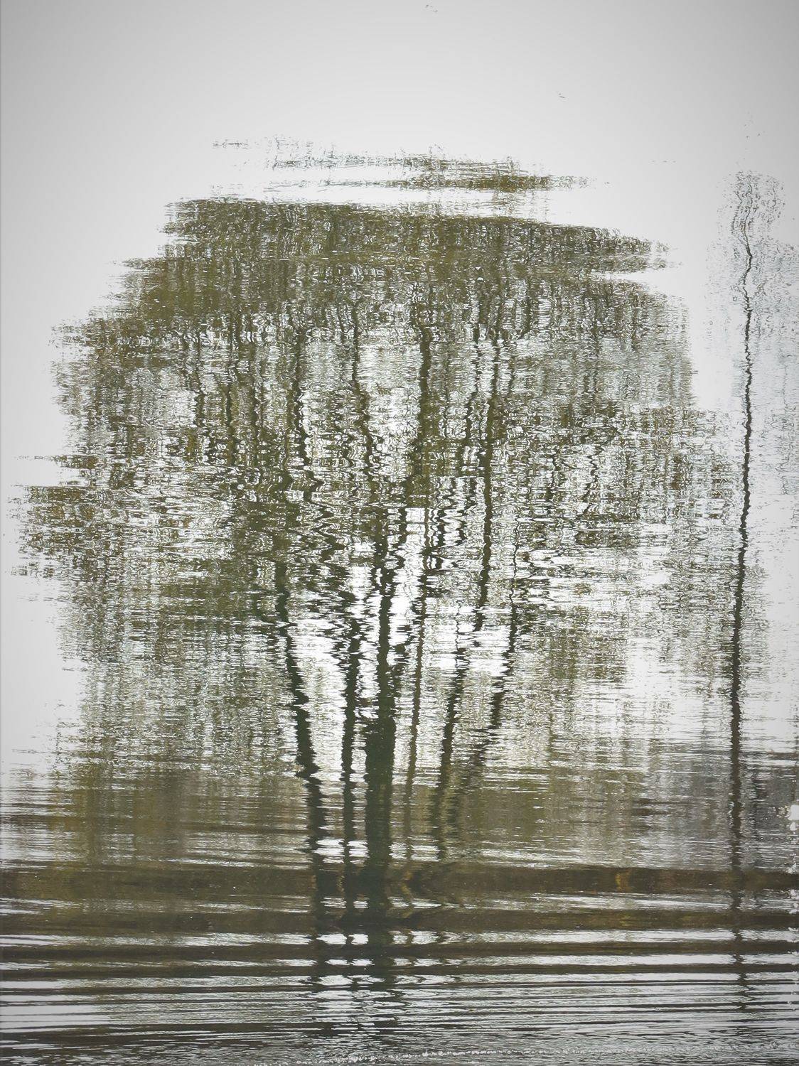 отражение,дерево,осень, Козлова Галина