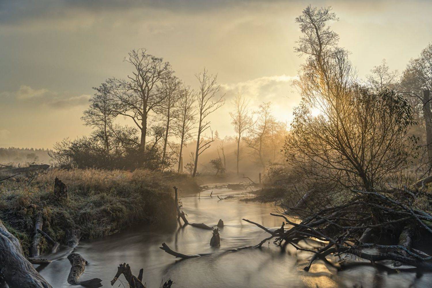 , Sławek Przybylski