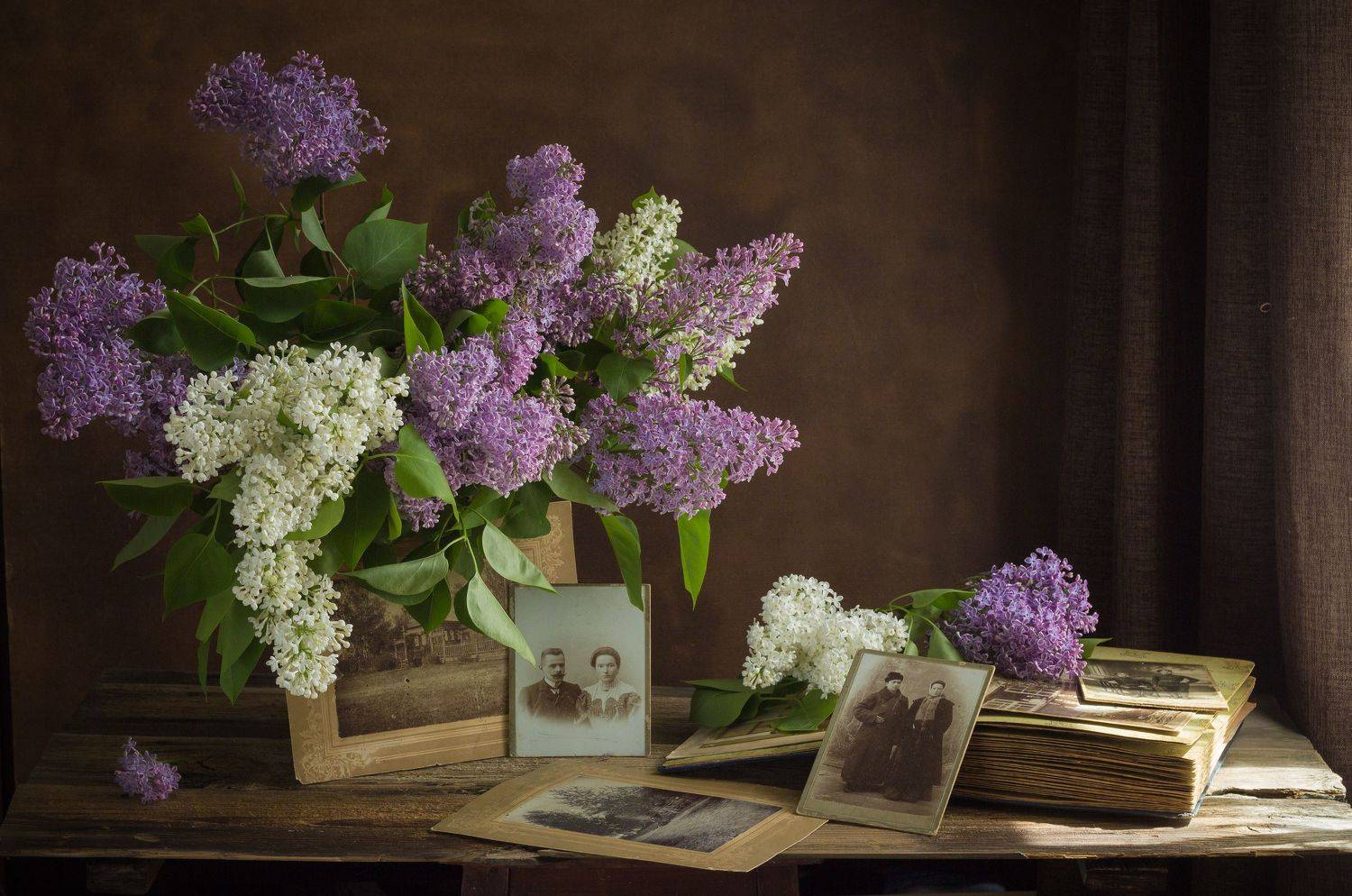 Фотография, сирень, альбом, старый снимок, Хвойнова Елена