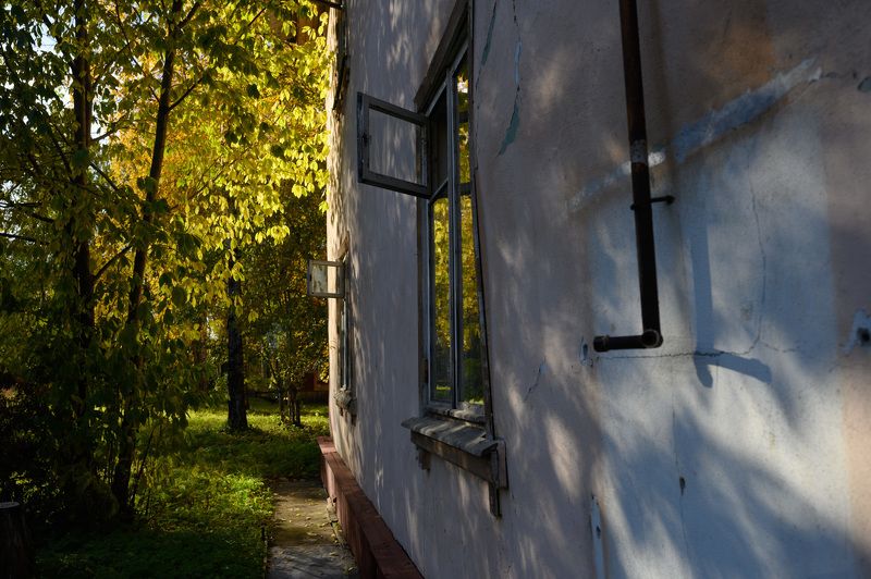 осень, О фото превью