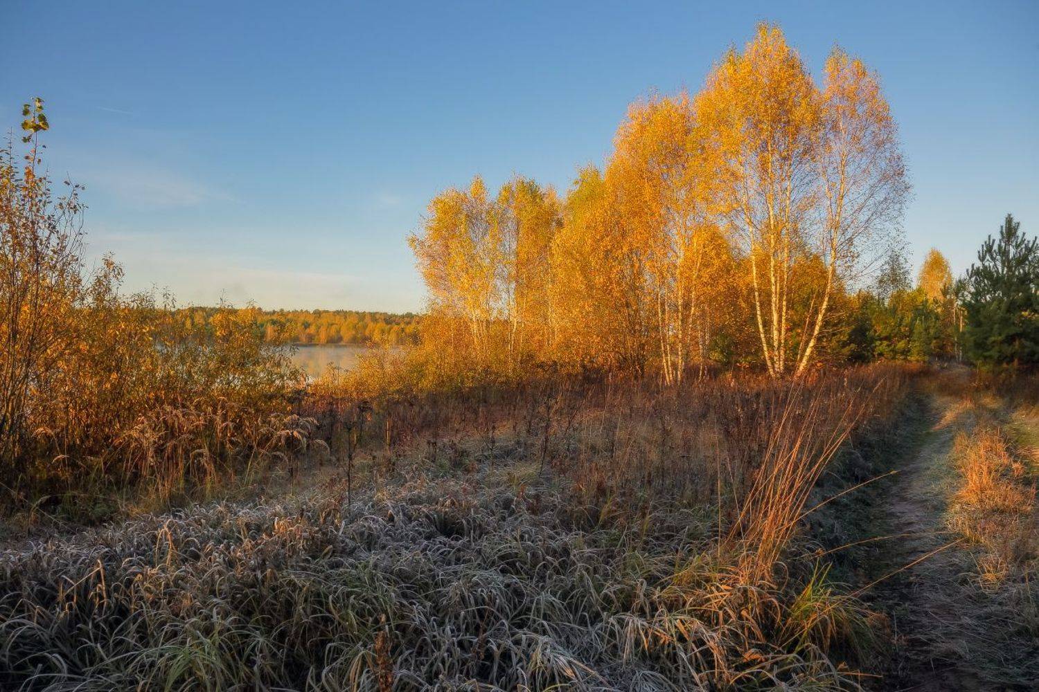 б.холм утро изморозь мороз осень, Дмитрий Алексеев