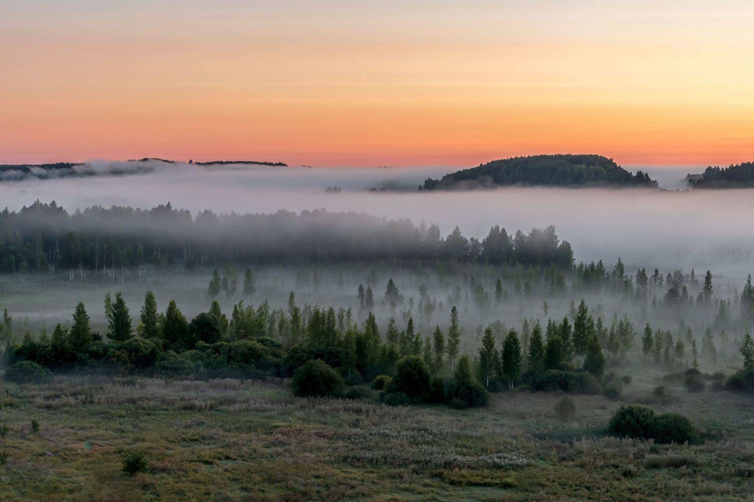, Виктор Желенговский
