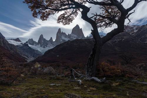 Night in Patagonia