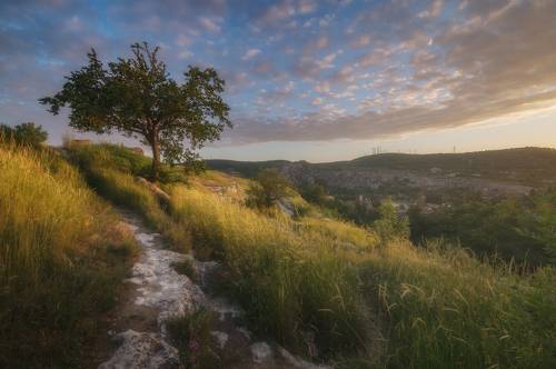 Инкерман, Каламита