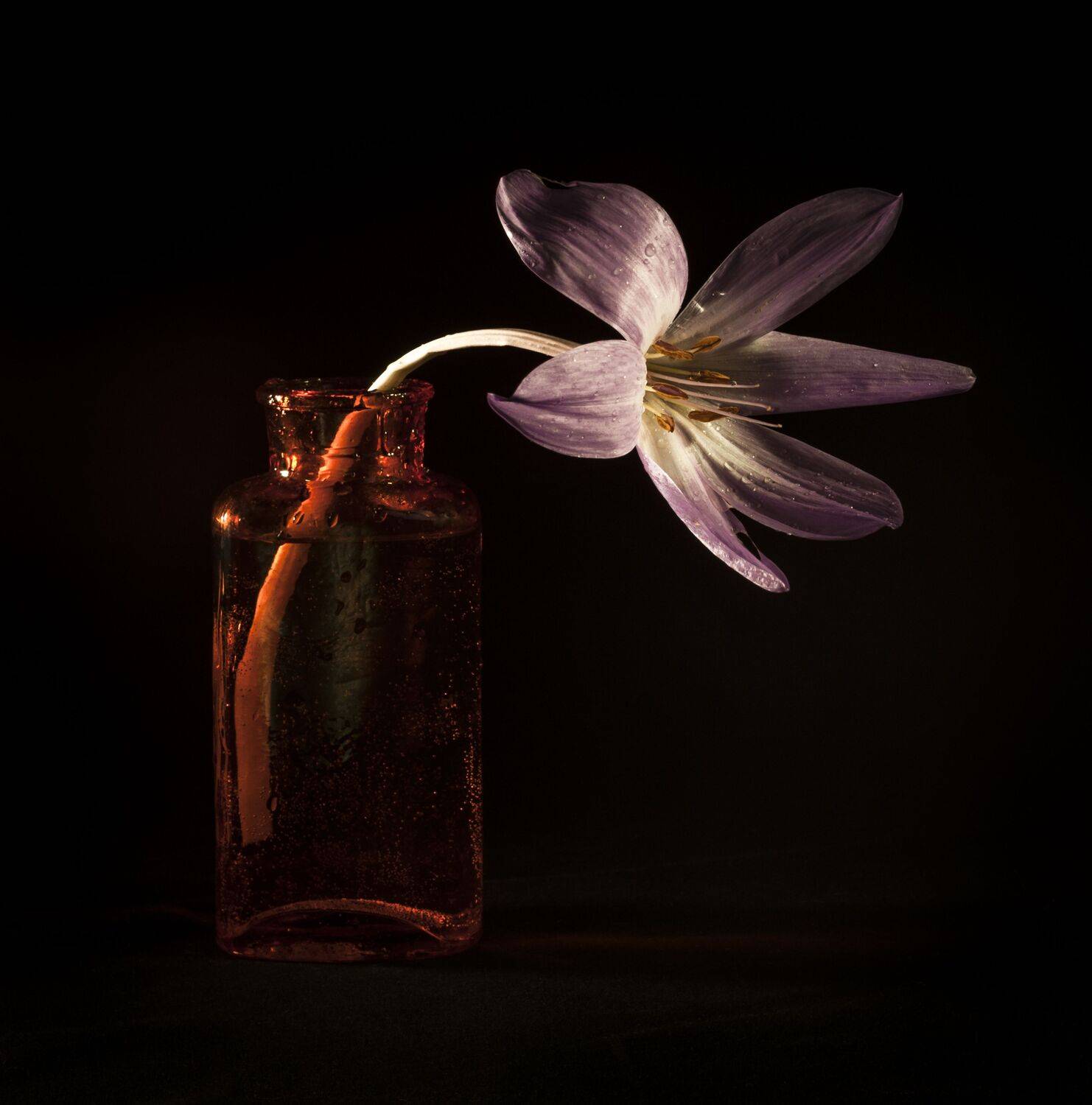 , Виктор Черкасов