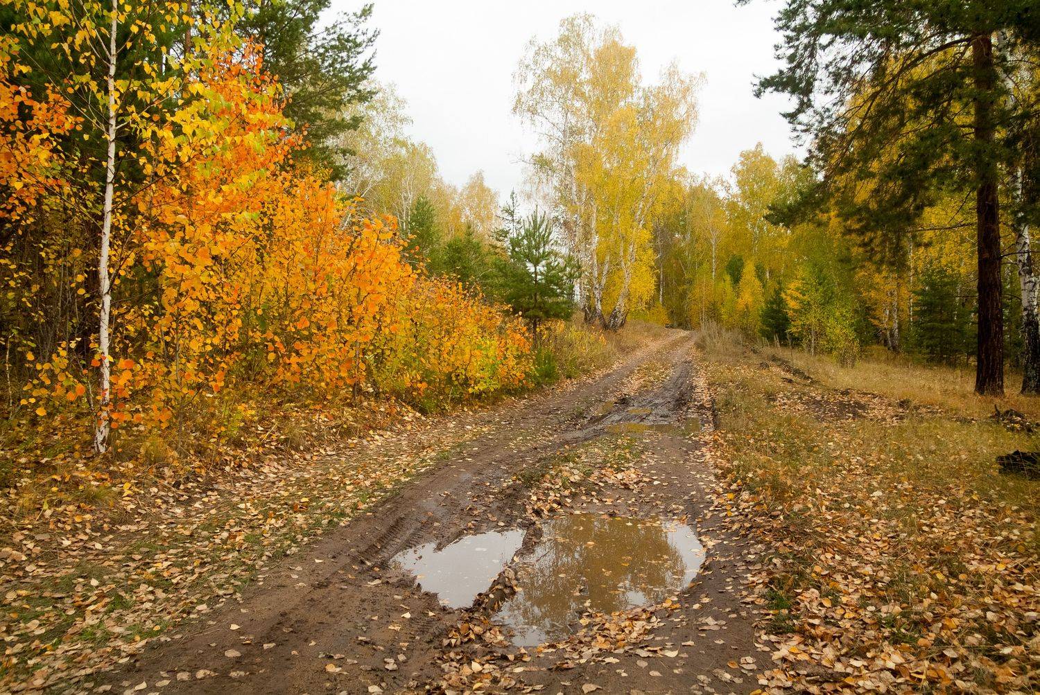 , Шустиков Дмитрий