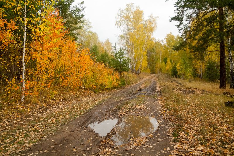 *** фото превью