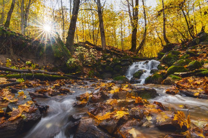 осень, псков, мельничный, ручей *** фото превью