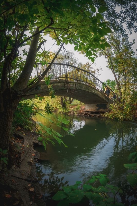 У моста фото превью