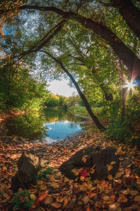 Окно в осень фото превью