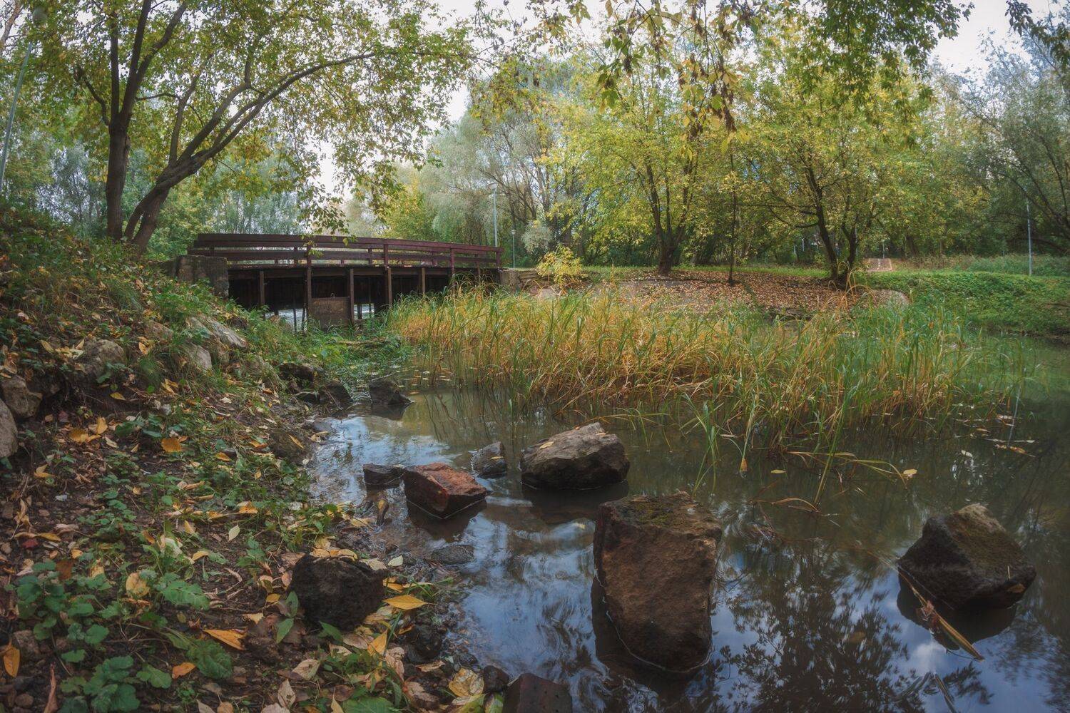 , Котов Андрей