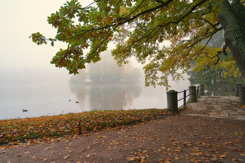 Morning in October фото превью