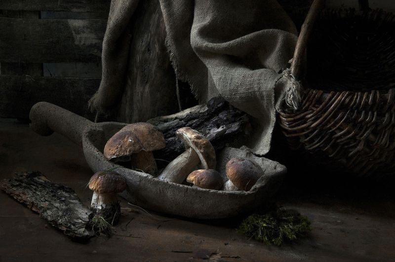 осень, грибы, лес Грибной фото превью