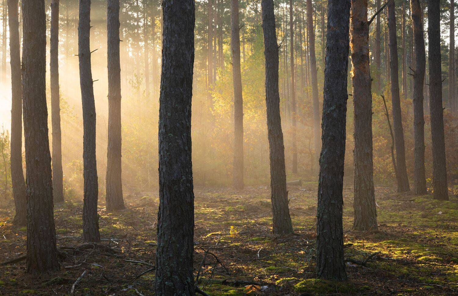 , Захаров Дмитрий