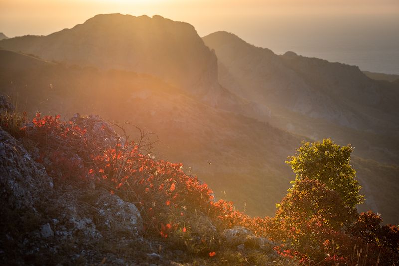осеннее настроение фото превью