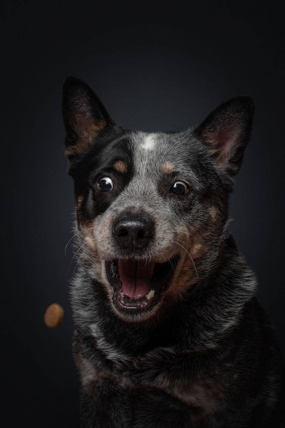 , Юлия Гончар