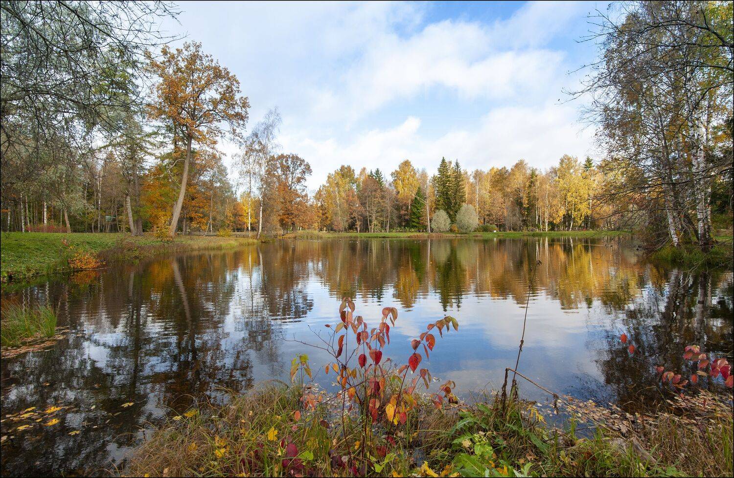 , Георгий Сапожников