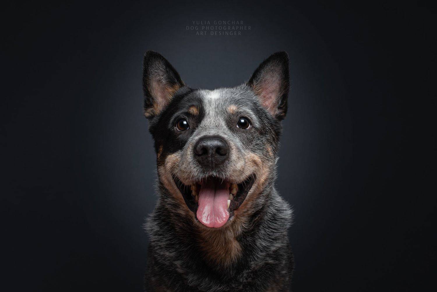 , Юлия Гончар