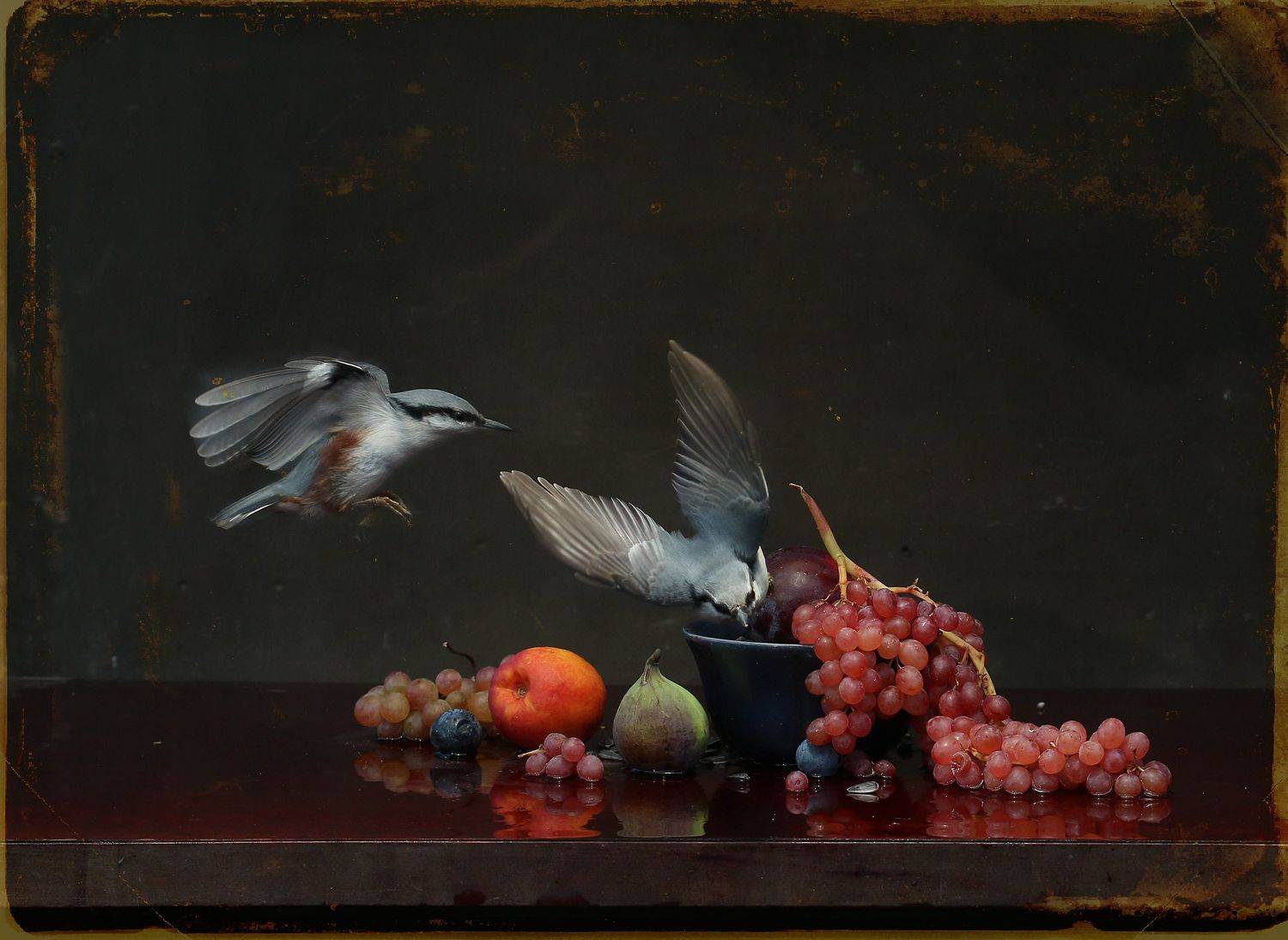 nuthatch, Хромушин Олег