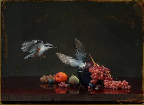 Поползни и розовый виноград