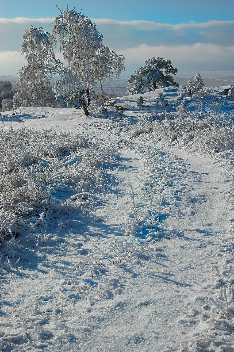 , Орлов Михаил