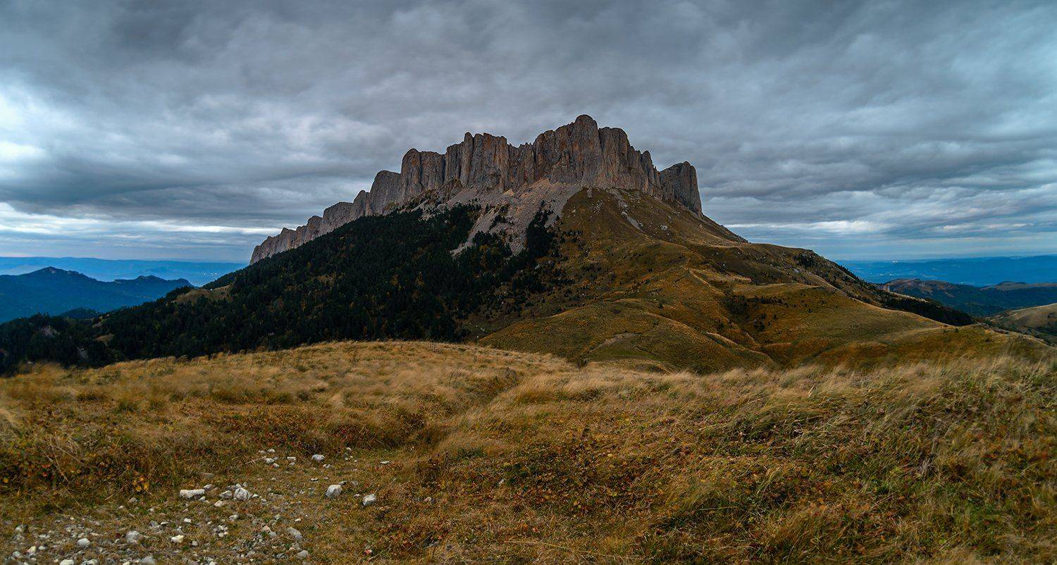 , Alexander Plekhanov