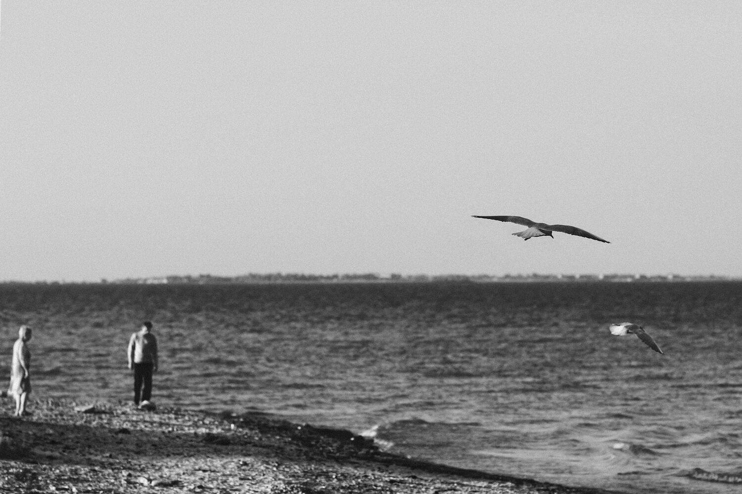 , Алексей Гуляев