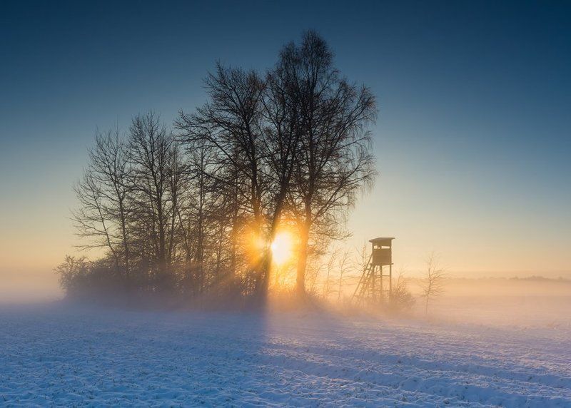 Raised hide фото превью