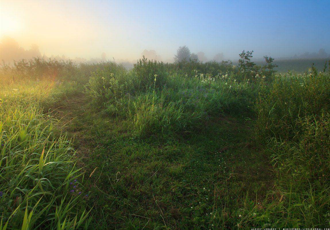 , Алексей Лобанов