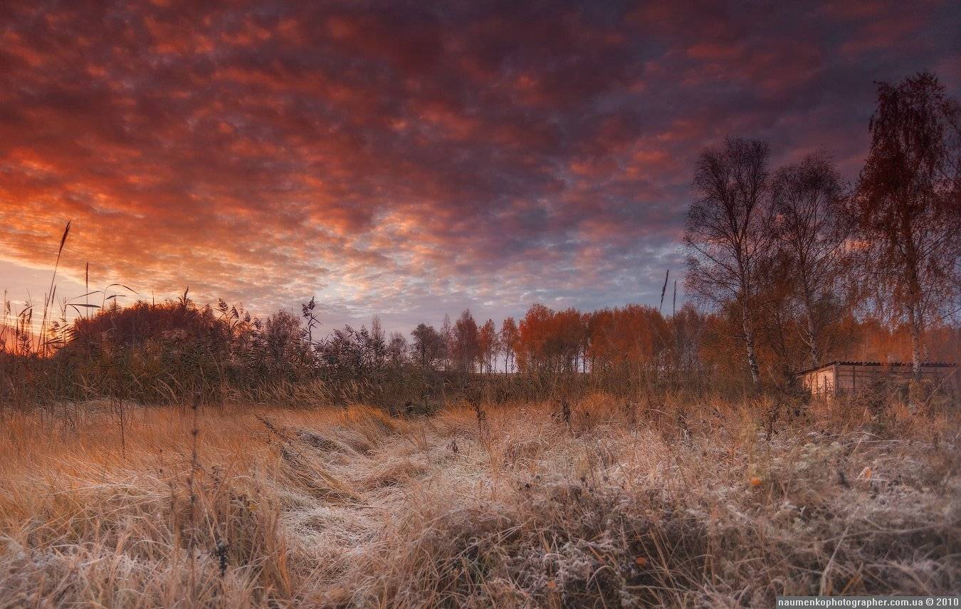 , Александр Науменко