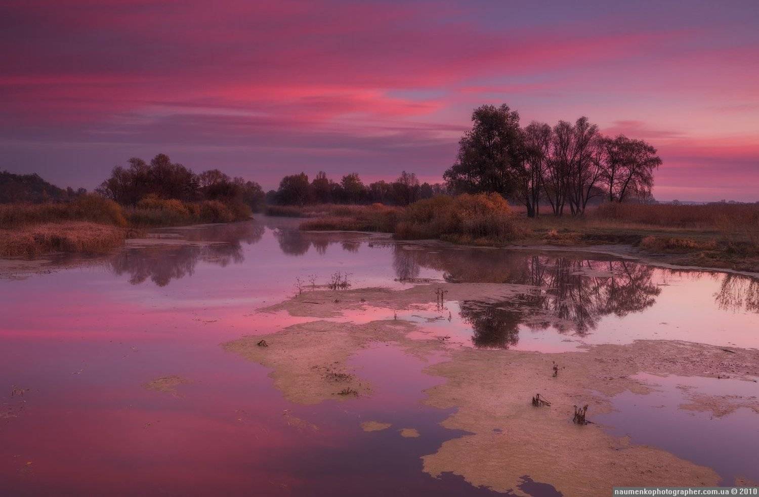 , Александр Науменко