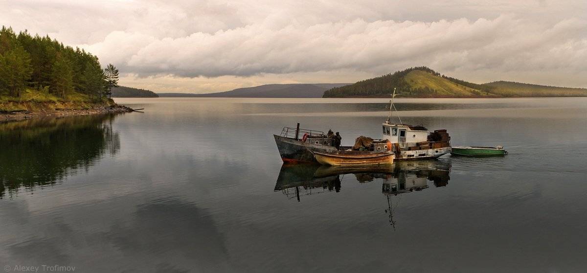 , Алексей Трофимов