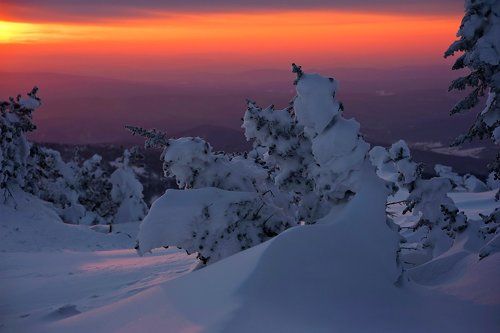 Pro рождественское настроение