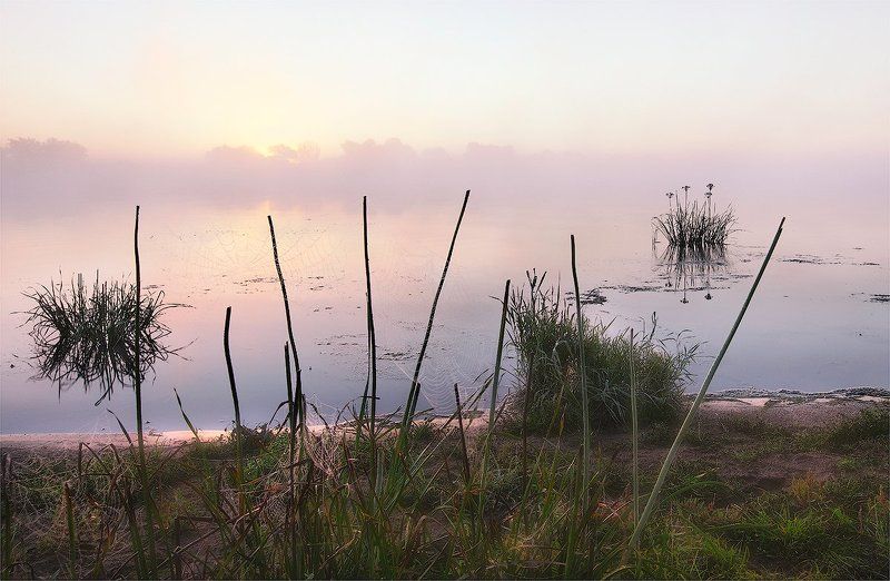 сеть фото превью