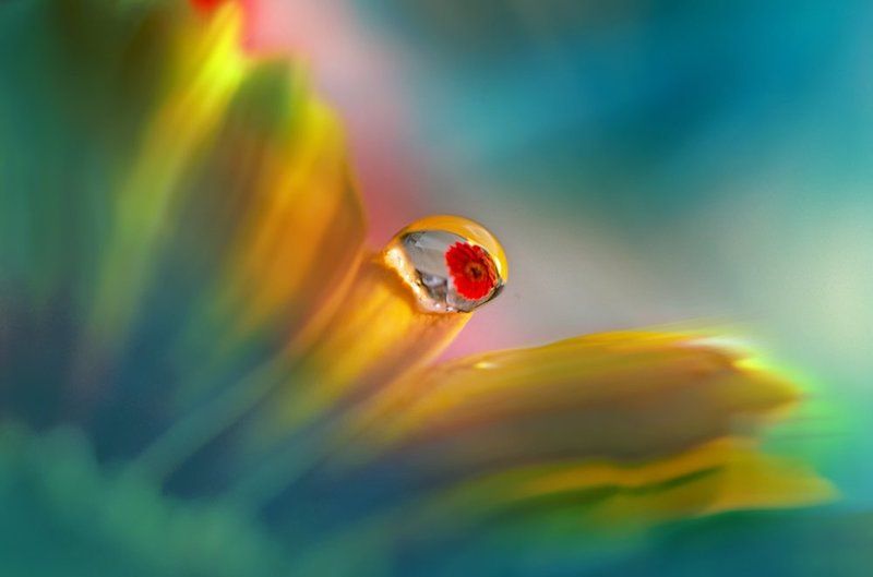 . фото превью
