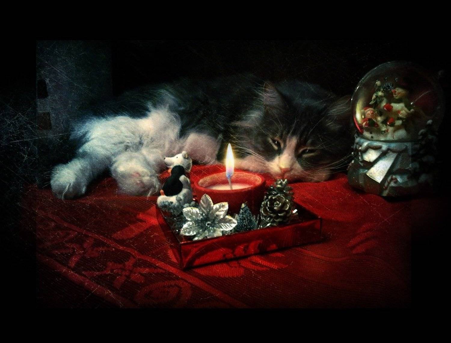 , Станислав Солагаян