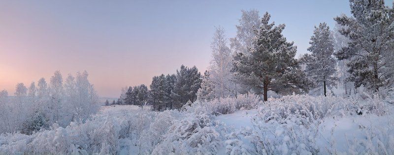 Вечер, Зима, Лес Вечер на границе леса фото превью