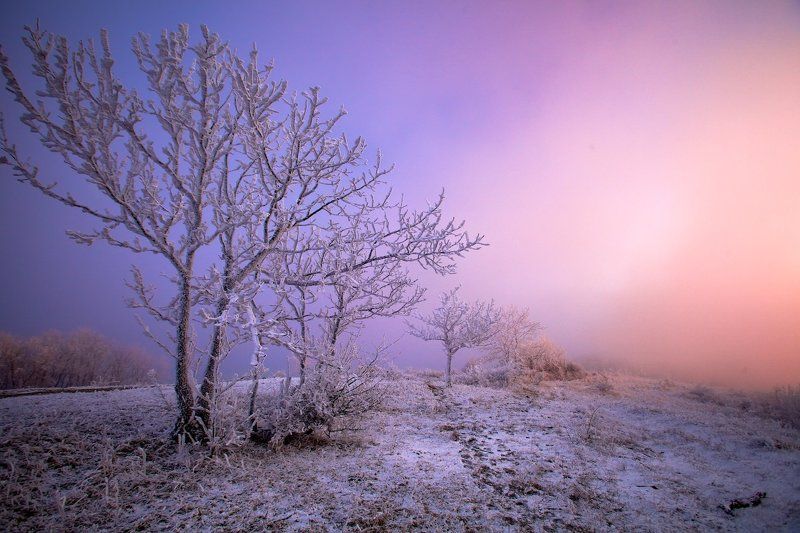 на границе ночи и дня фото превью
