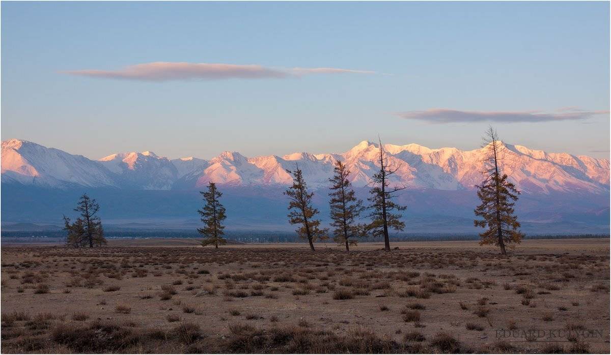 , Кутыгин Эдуард