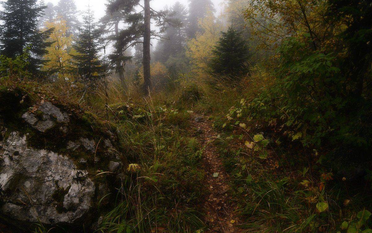 , Alexander Plekhanov